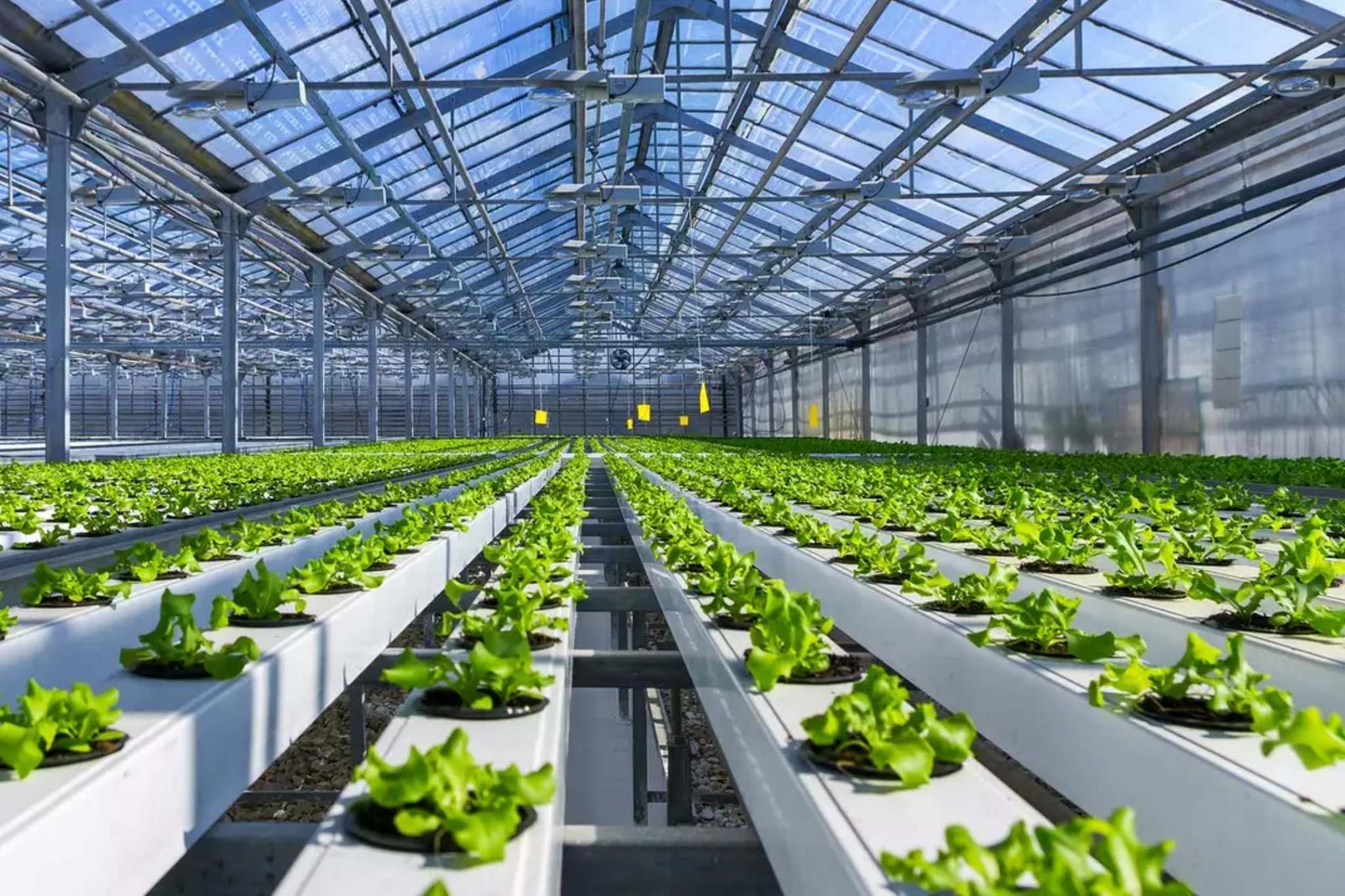 Agricultura viitorului încă așteaptă să fie inventată