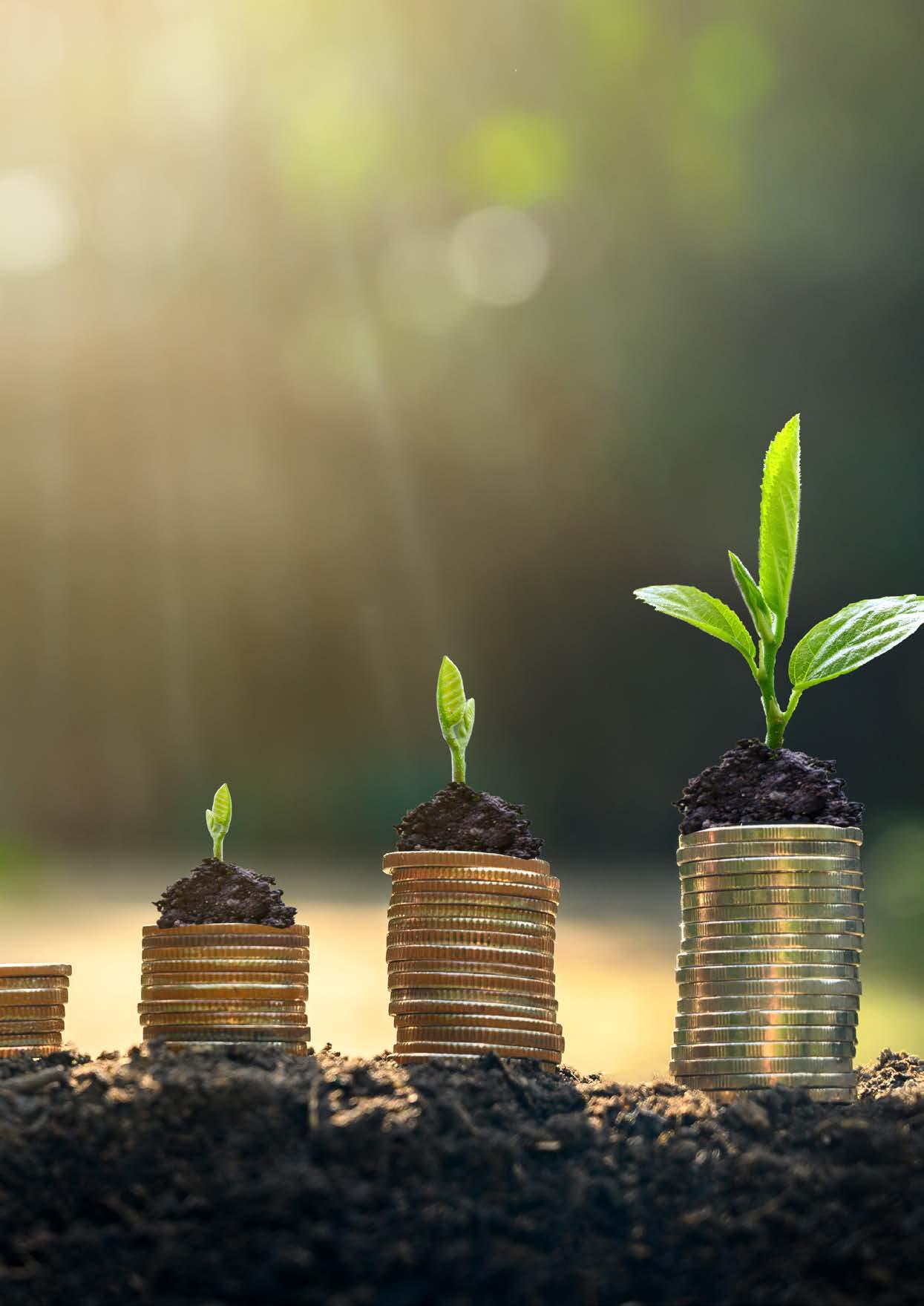 Banca ecologică, fiecare ban contează